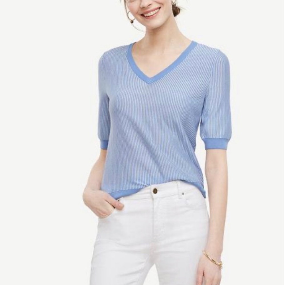 Ann Taylor Merino wool short sleeve sweater
